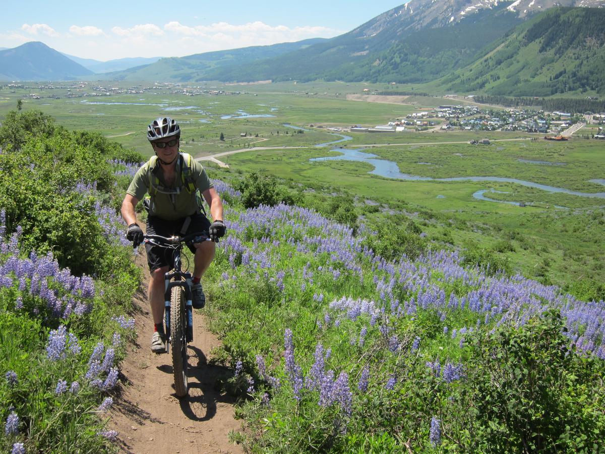 Purple Mountain Bed & Breakfast & Spa Crested Butte Exteriör bild