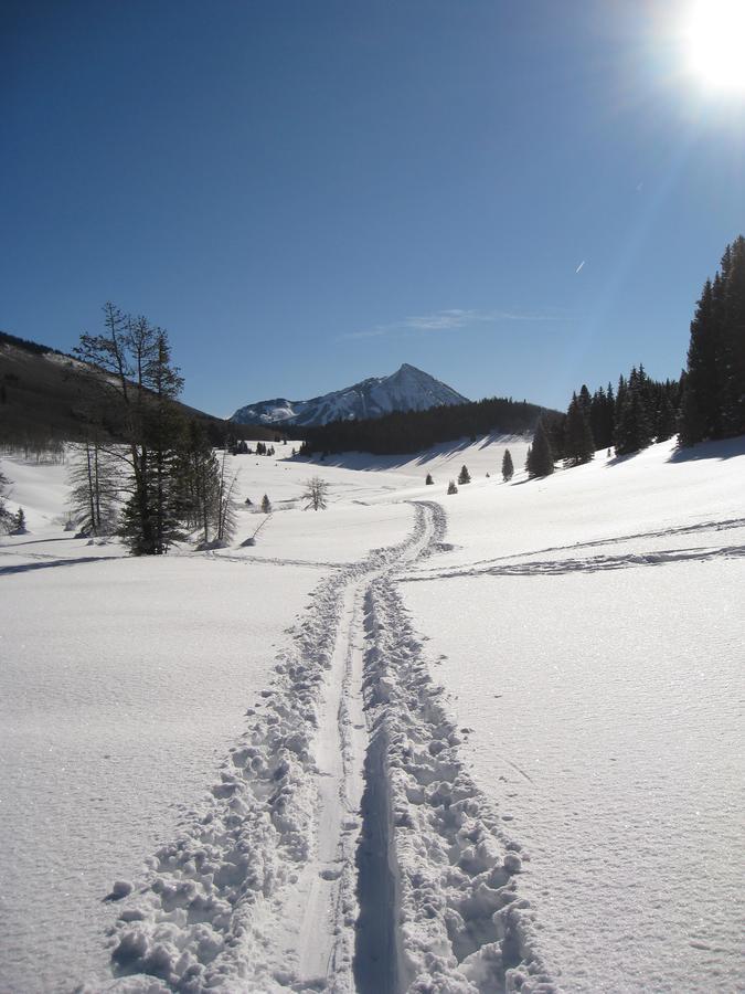 Purple Mountain Bed & Breakfast & Spa Crested Butte Exteriör bild